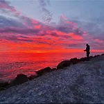 La Conchiglia Sul Mare Appartement