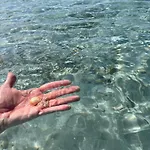 Appartement La Conchiglia Sul Mare