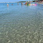 La Conchiglia Sul Mare *