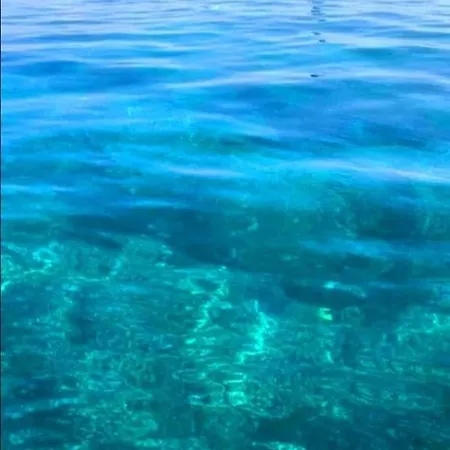 La Conchiglia Sul Mare Appartamento *