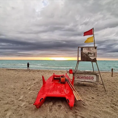 La Conchiglia Sul Mare *