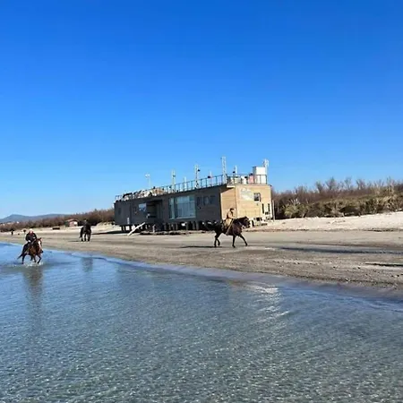 La Conchiglia Sul Mare *