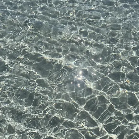 La Conchiglia Sul Mare Apartmán