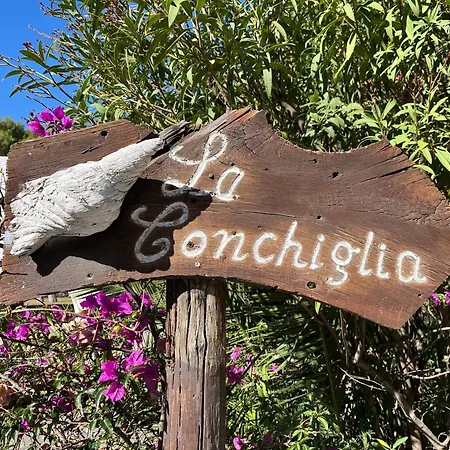 La Conchiglia Sul Mare Appartement