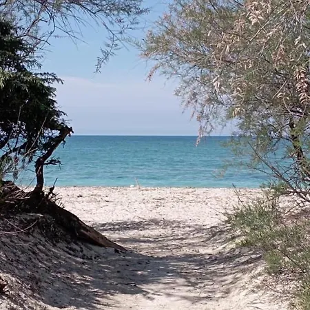 La Conchiglia Sul Mare * Vada
