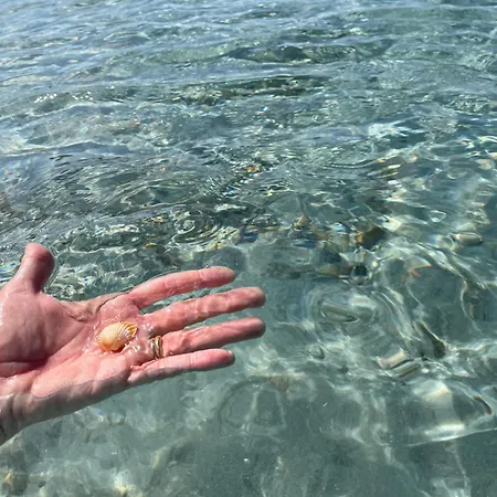 Apartmán La Conchiglia Sul Mare