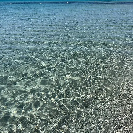La Conchiglia Sul Mare Appartamento