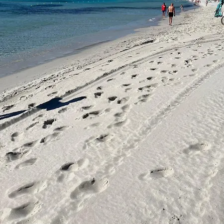 La Conchiglia Sul Mare Appartamento Vada
