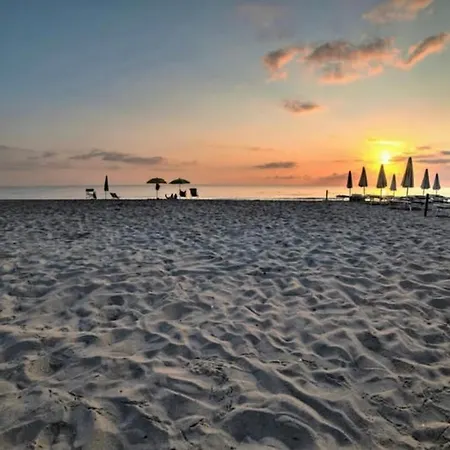 La Conchiglia Sul Mare *