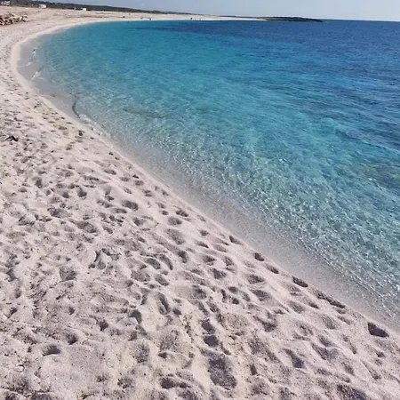 La Conchiglia Sul Mare * Vada