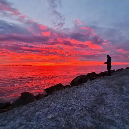 La Conchiglia Sul Mare 아파트