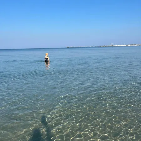 La Conchiglia Sul Mare *
