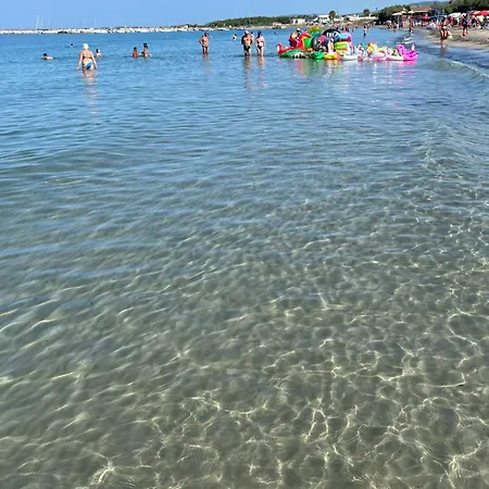 La Conchiglia Sul Mare *
