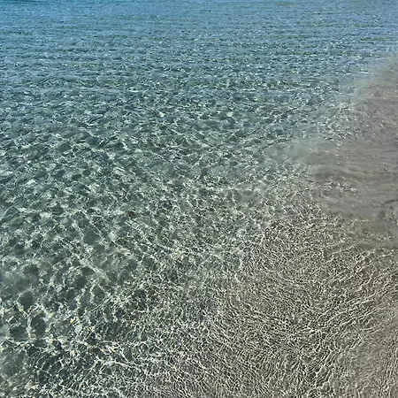 아파트 La Conchiglia Sul Mare